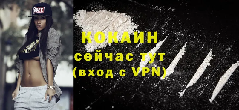 COCAIN VHQ  Заполярный 